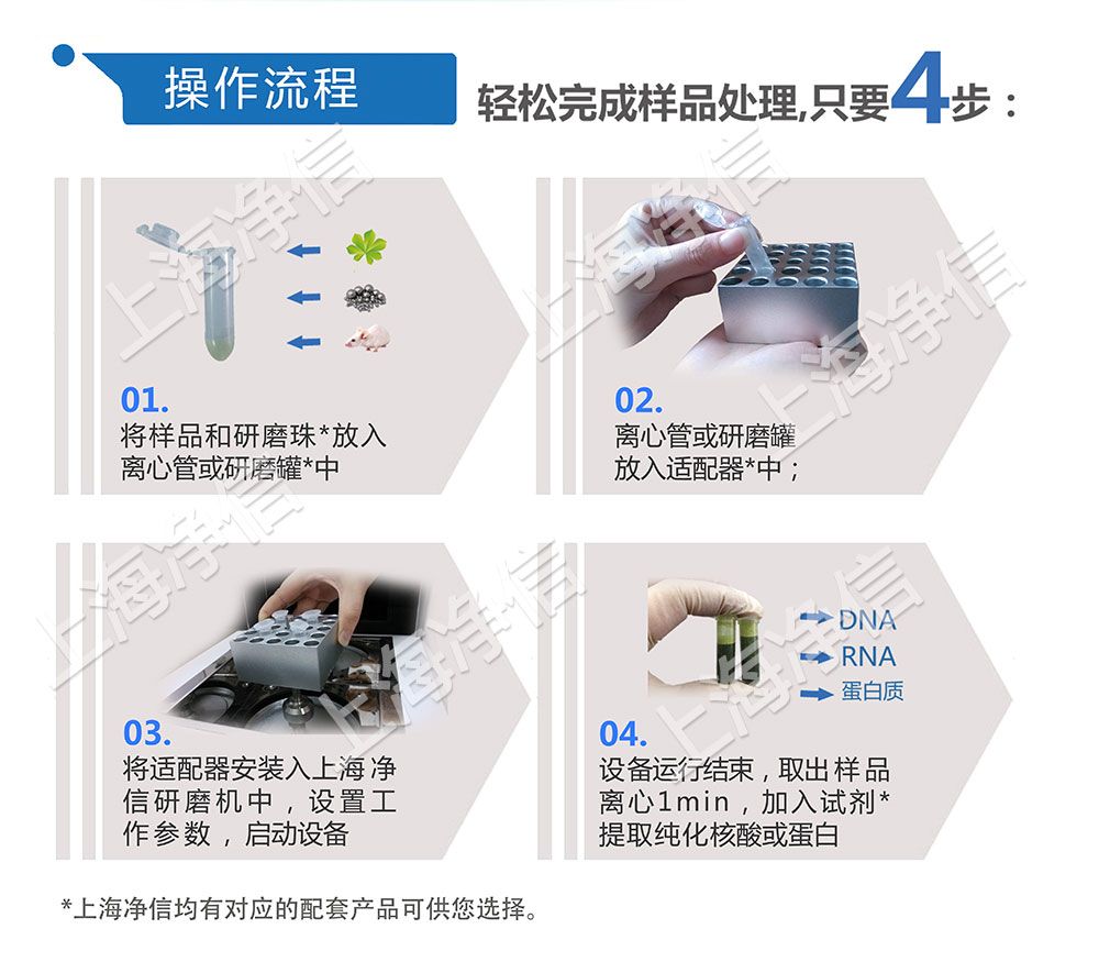 水蜜桃视频污在线观看